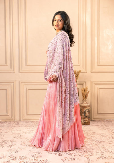 BLUSH PINK LUKHNAVI CRUSH LEHENGA SET