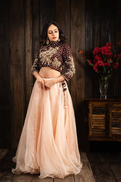 Pecan brown choli set