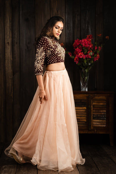 Pecan brown choli set